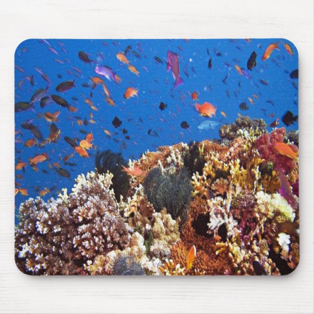 Under the sea aquatic fish scenes mouse pad (Front)