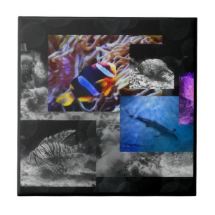 Under the Sea Ceramic Tile