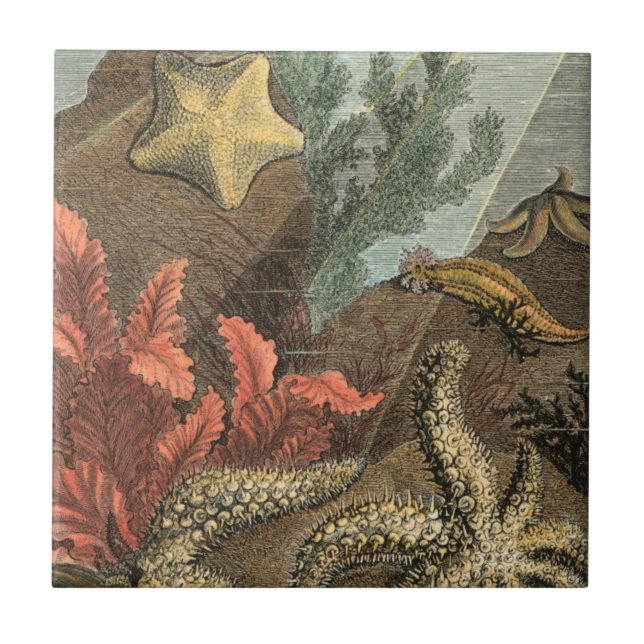 Under the Sea Ceramic Tile (Front)