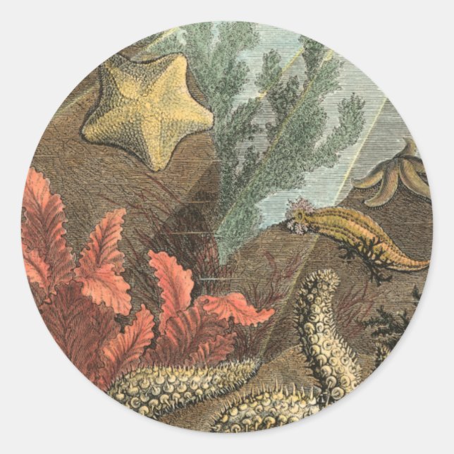 Under the Sea Classic Round Sticker (Front)