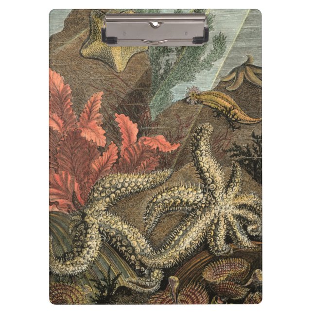 Under the Sea Clipboard (Front)