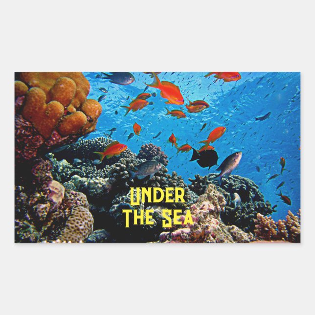 Under The Sea Coral Fish Marine Life Blue Water Rectangular Sticker (Front)