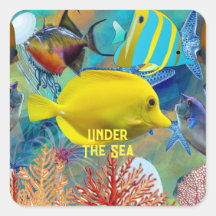 Under The Sea Corals Fish Blue Water Marine Life 