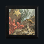 Under the Sea Gift Box<br><div class="desc">Go underwater to explore the sea with all these different sea creatures. This vintage piece of art is a perfect addition to any sea anemone lovers. It captures sealife with starfishes,  kelp,  seaweed,  and other sea creatures. Get your art print today on your product.</div>