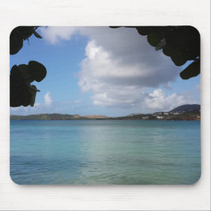 Under the Sea Grape with Turquoise Ocean View Mouse Pad
