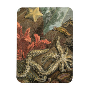 Under the Sea Magnet