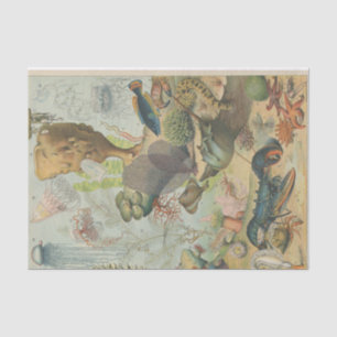 Under the sea marine biology crafters'  tissue paper