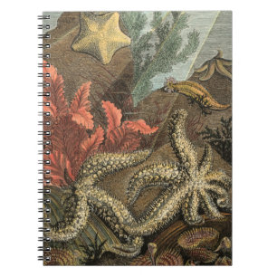 Under the Sea Notebook