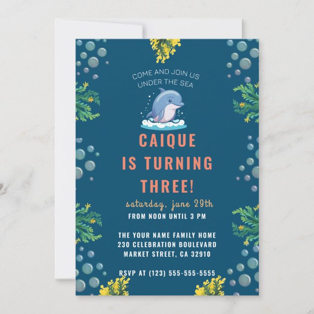 Under The Sea Ocean Dolphin Boys Birthday Party  Invitation (Front)