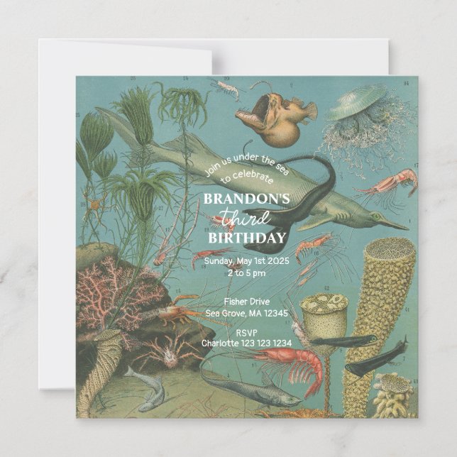 Under The Sea Ocean Sea Animal retro Birthday  Magnetic Invitation (Front)