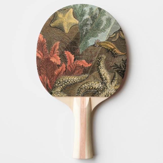 Under the Sea Ping Pong Paddle (Front)