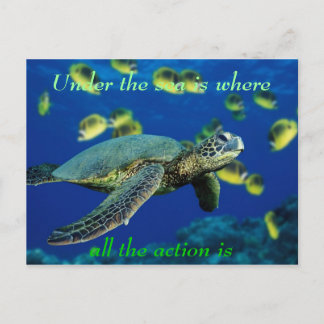 Under the sea - Sea Turtle Postcard