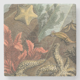Under the Sea Stone Coaster