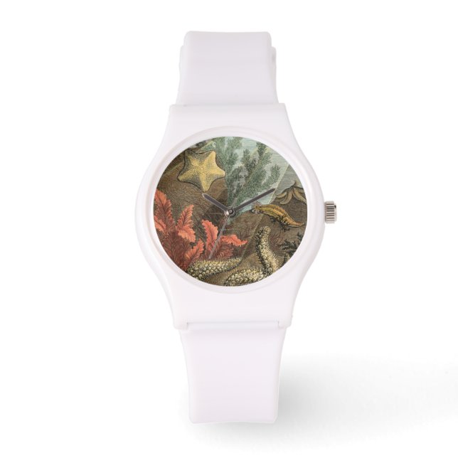 Under the Sea Watch (Front)