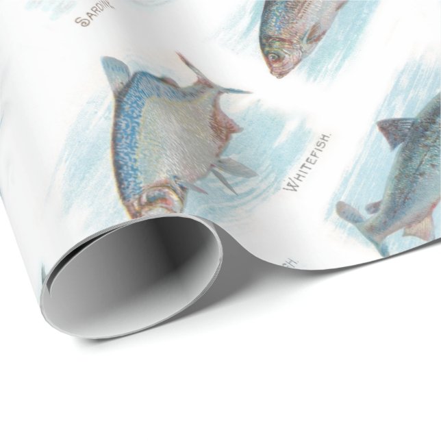 Under The Sea Wrapping Paper (Roll Corner)