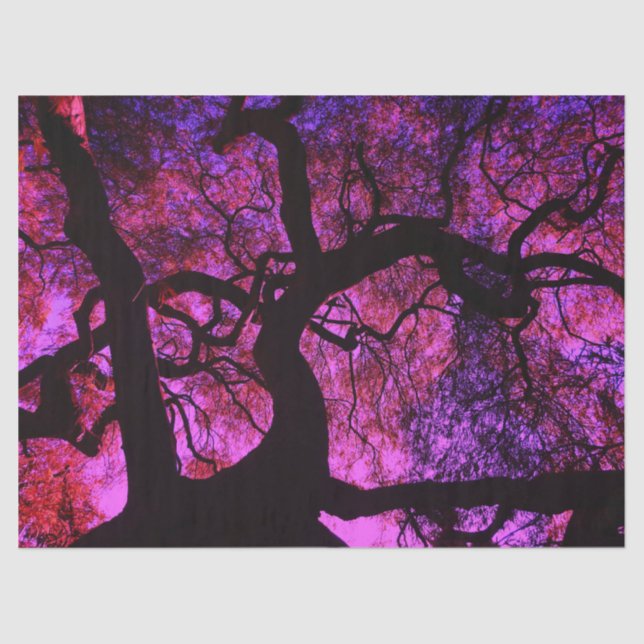 Under the Tree in Pink and Purple Tissue Paper (Front)