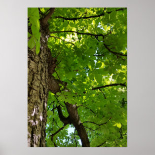 under the tree poster