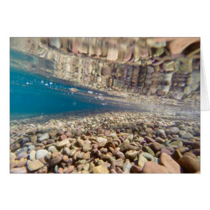Under the Water at Lake McDonald
