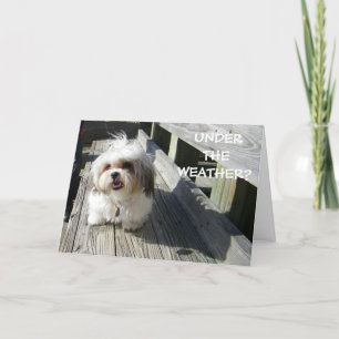 UNDER THE WEATHER? CARD