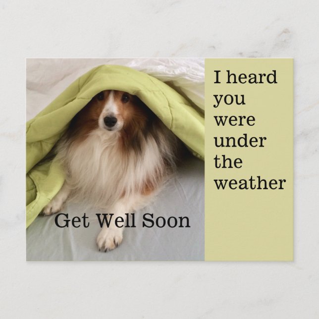 Under the Weather Holiday Postcard (Front)
