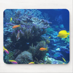 Under Water Ocean World And Summer Story Mouse Pad