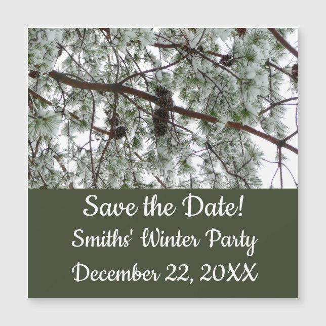 Underneath the Snow Covered Pine Tree Winter Photo (Front)