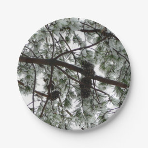 Underneath the Snow Covered Pine Tree Winter Photo Paper Plate