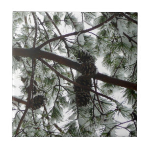 Underneath the Snow Covered Pine Tree Winter Photo Tile