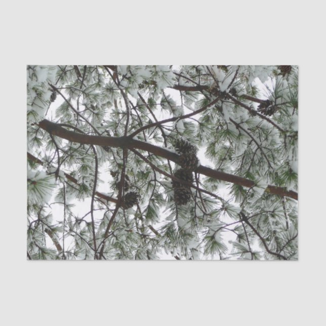 Underneath the Snow Covered Pine Tree Winter Photo Tissue Paper (Front)
