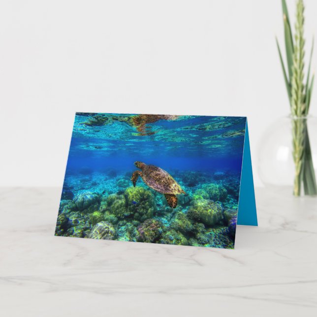 Undersea Tropical Sea Turtle Coral Card (Front)