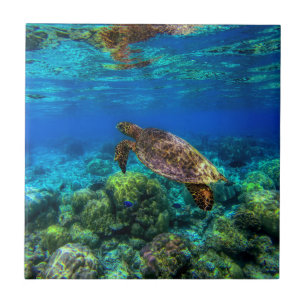 Undersea Tropical Sea Turtle Coral Ceramic Tile