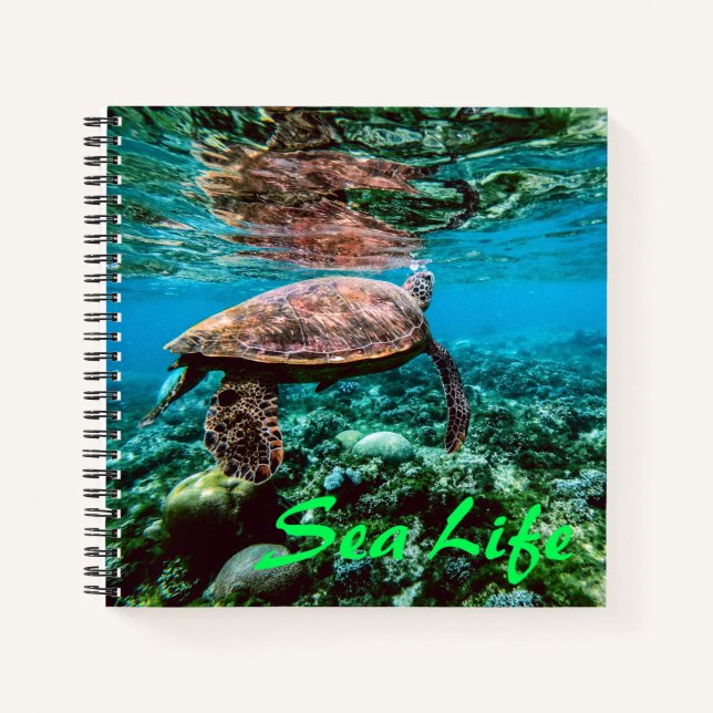 Undersea Tropical Sea Turtle Notebook (Front)