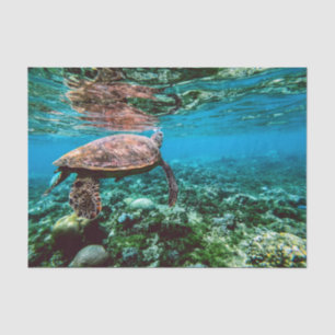 Undersea Tropical Sea Turtle Tissue Paper
