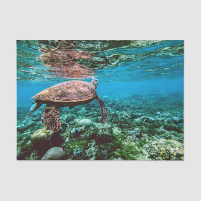 Undersea Tropical Sea Turtle Tissue Paper (Front)