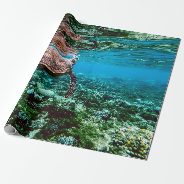 Undersea Tropical Sea Turtle Wrapping Paper (Unrolled)