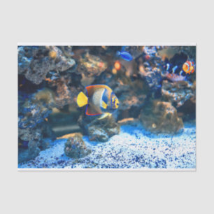 Undersea Vibrant Tropical Fish Coral Tissue Paper