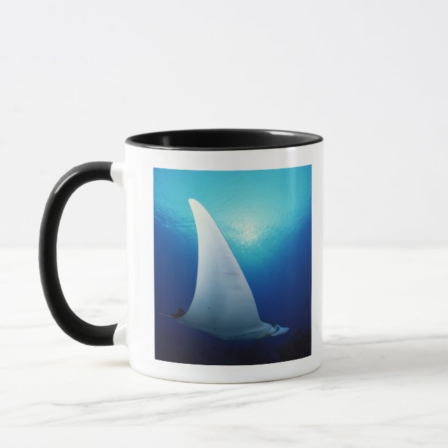 Underside of a manta ray mug (Left)