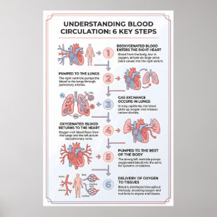 Understanding Blood Circulation: 6 Key Steps Poster