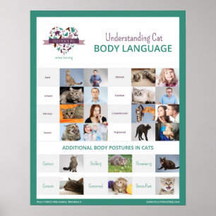 Understanding Cat Body Language 16 x 20 Poster