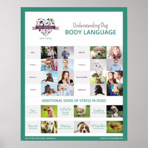 Understanding Dog Body Language 16 x 20 Poster