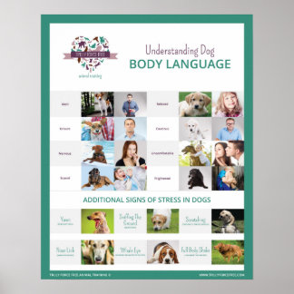 Understanding Dog Body Language 16 x 20 Poster
