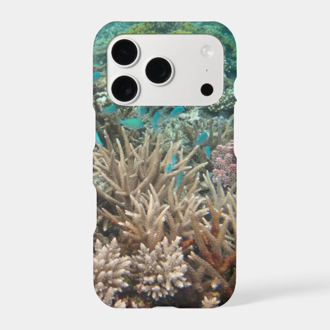 Underwater (Back)
