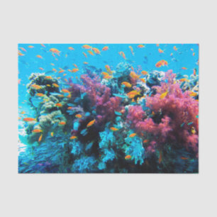 Underwater 13-16 Image Options Tissue Paper