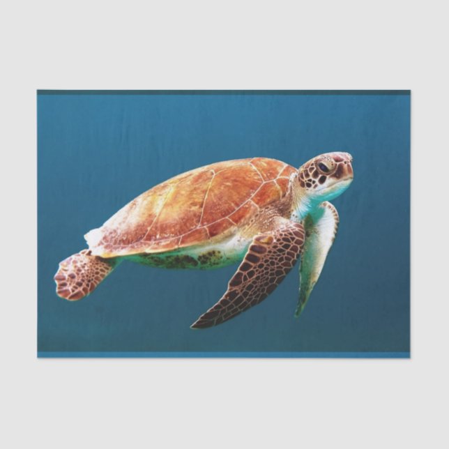 Underwater 24 tissue paper (Front)