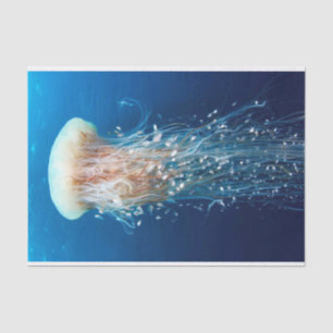 Underwater 31 tissue paper