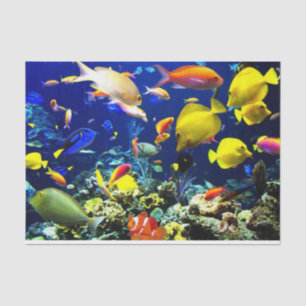 Underwater 5-6 Image Options Tissue Paper