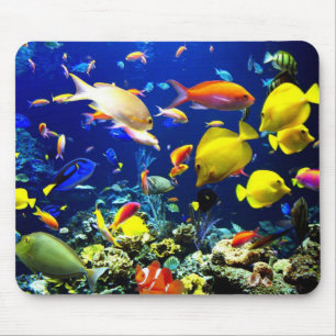 Underwater 5 mouse pad