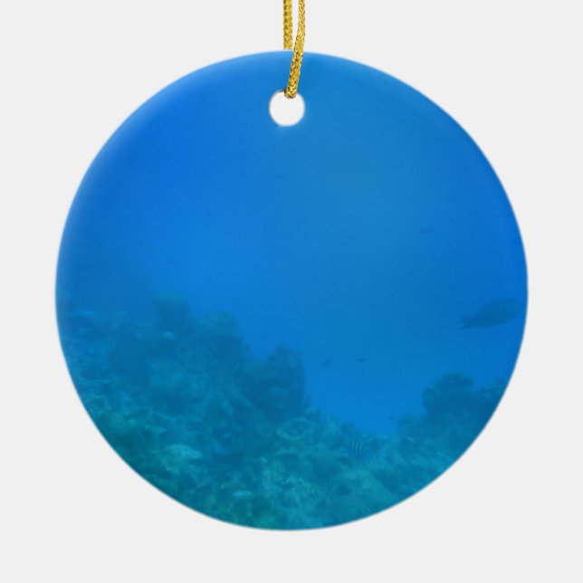 Underwater Background Scene Ceramic Ornament (Front)
