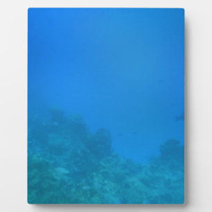 Underwater Background Scene Plaque