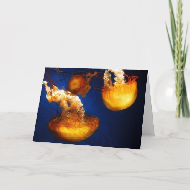 Underwater Ballet Card (Front)